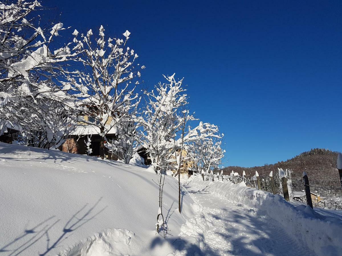 Casa Vacanze Le Primule Peveragno Екстер'єр фото