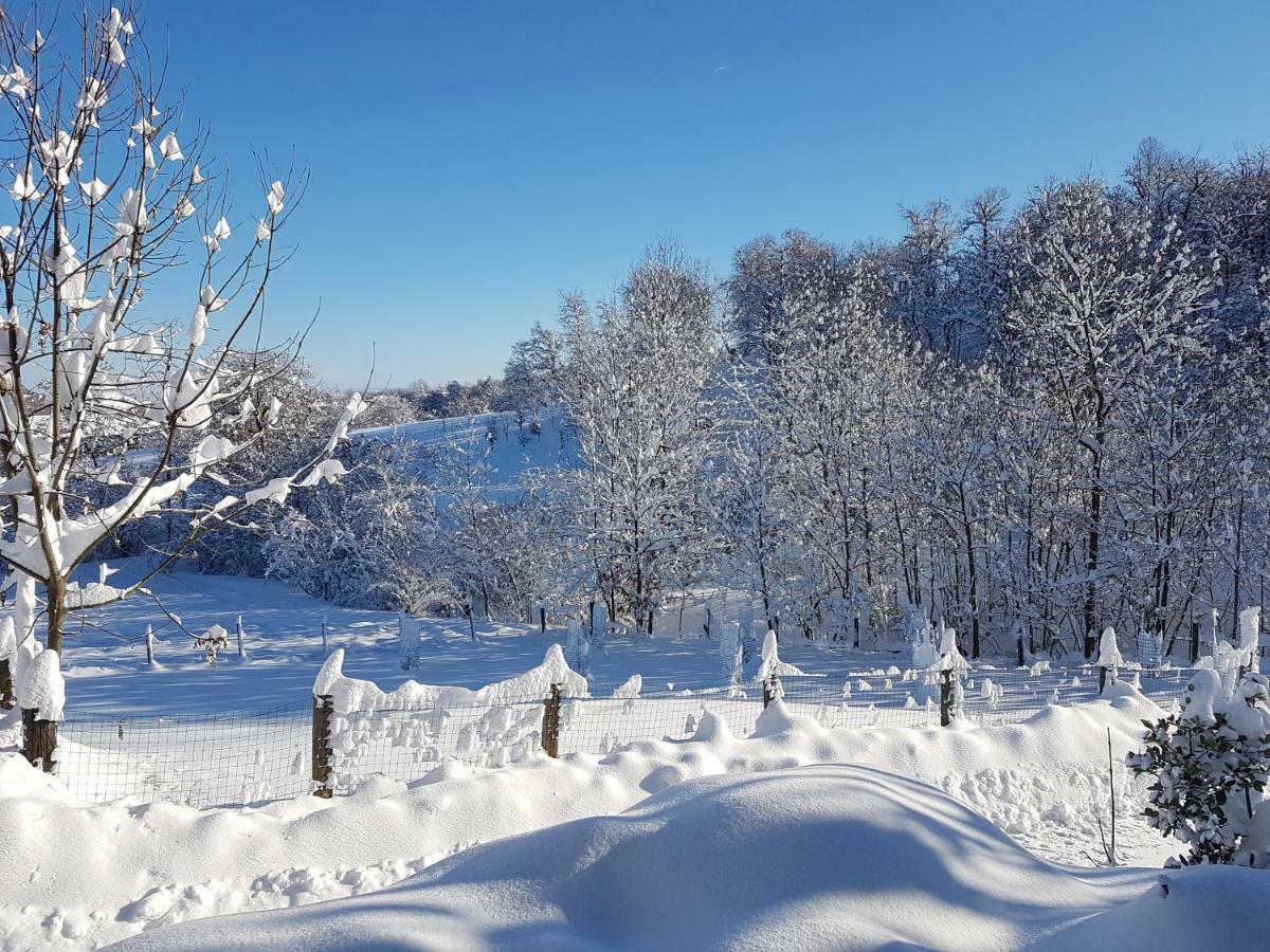Casa Vacanze Le Primule Peveragno Екстер'єр фото