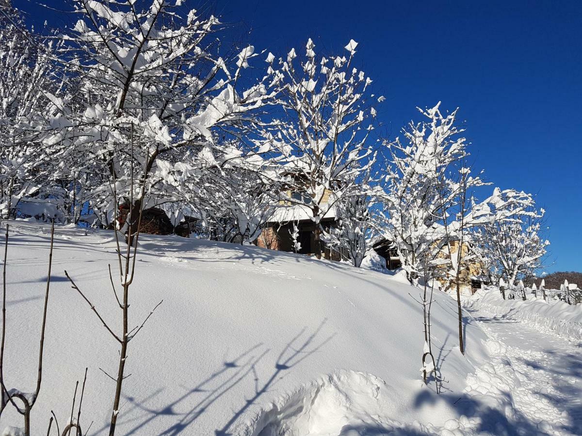 Casa Vacanze Le Primule Peveragno Екстер'єр фото